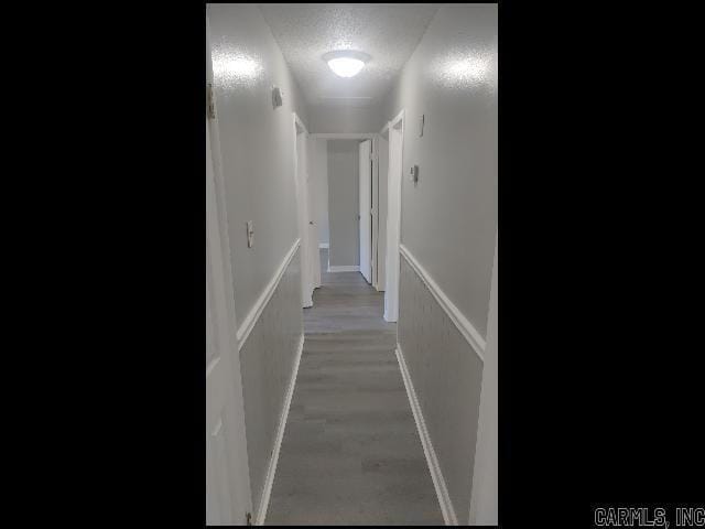 Building Photo - 203 Winchester Trail