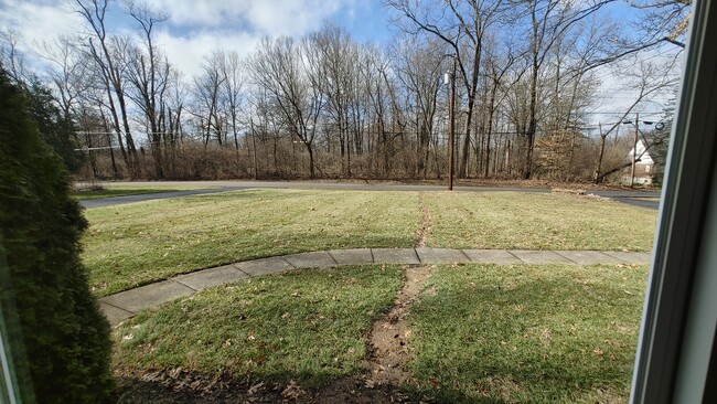 Front yard view from living room's extra large window - 6934 Winding Way