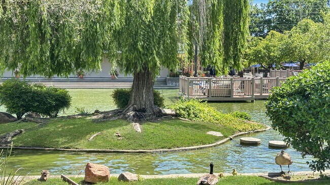 Building Photo - Plenty of Light in an Urban Oasis