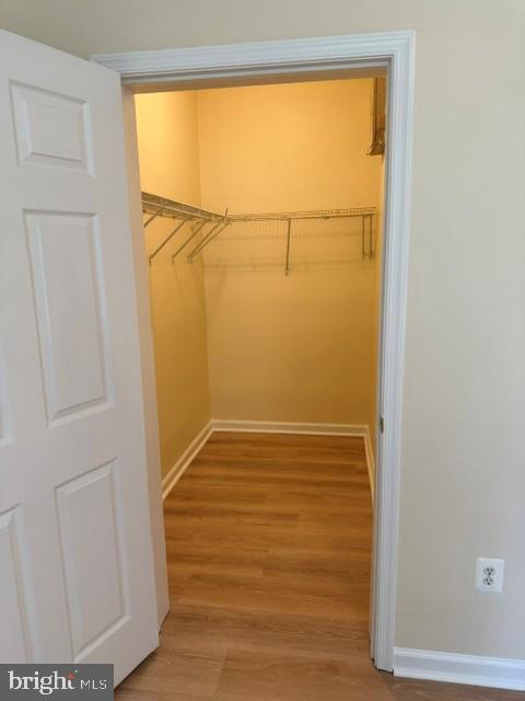 Building Photo - 2805 Forest Run Dr