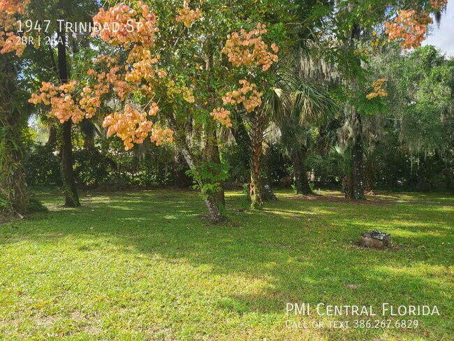 Building Photo - 1947 Trinidad St