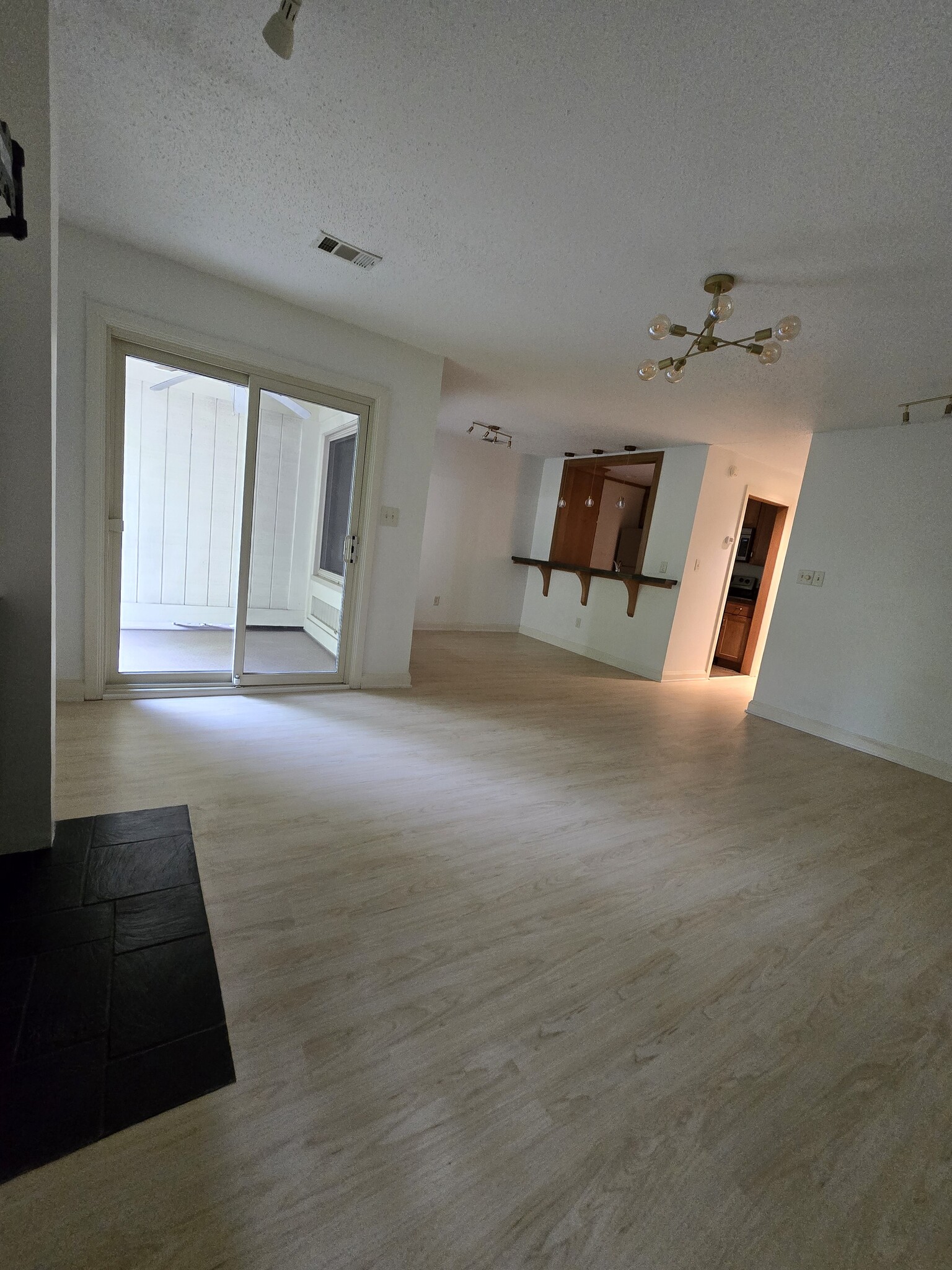 Licing Room - 1446 Cliff Ct