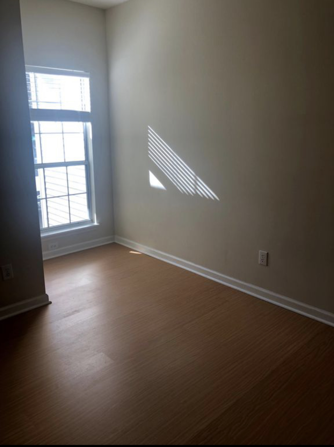Building Photo - 1715 Crystal Lake Dr