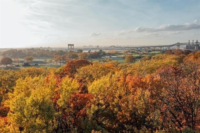 Building Photo - 45 Gautier Ave