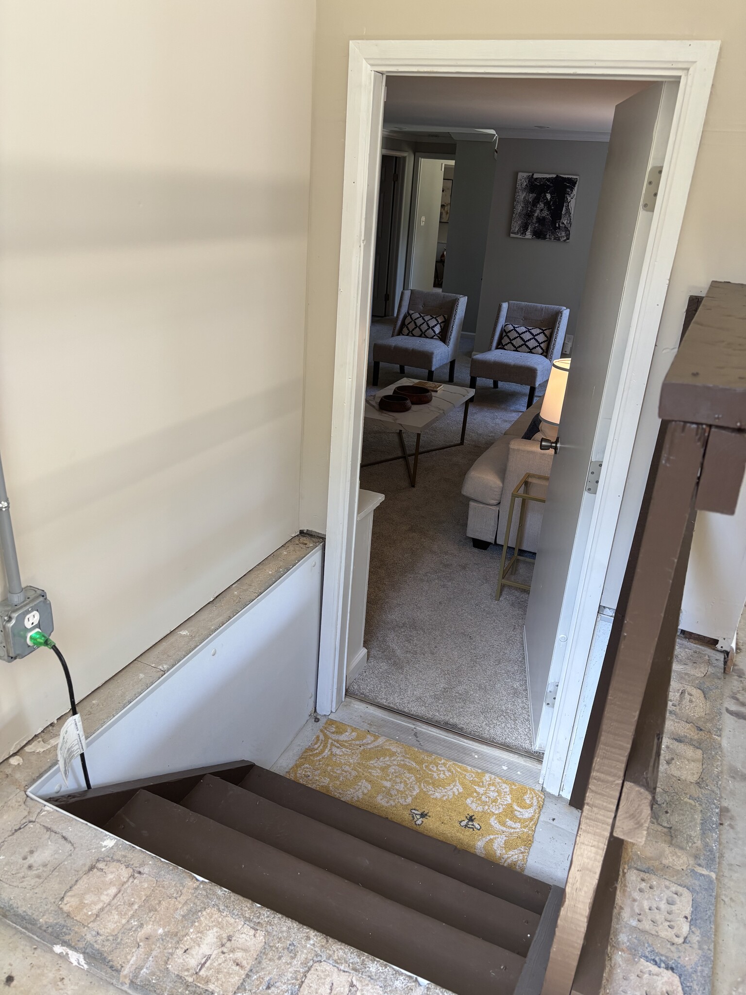Garage entry to lower level requires 4 steps - 9324 Rainbow Forest Dr