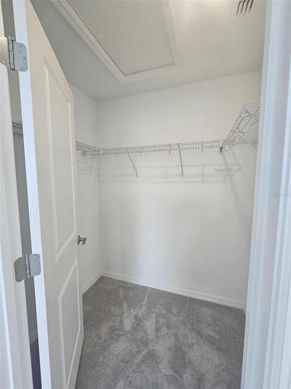 Building Photo - 6030 Whetstone Ct