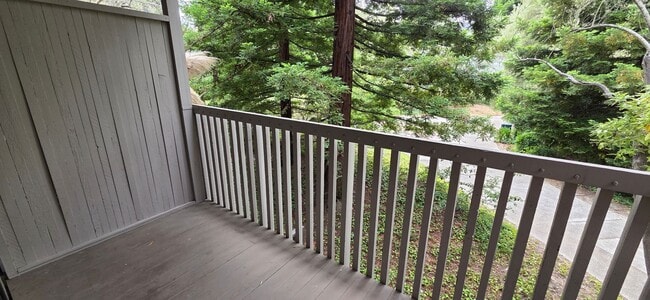 Building Photo - Spacious 1-bed 1-bath condo now available ...