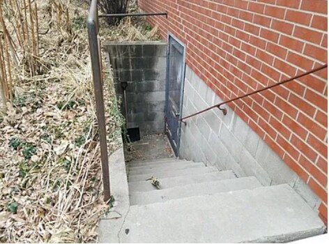 Steps leading to basement laundry and storage. - 1028 S 24th St