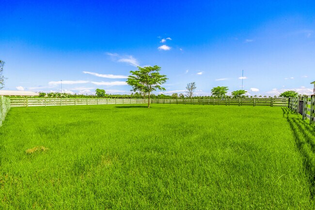 Building Photo - 5181 Lasso Wy