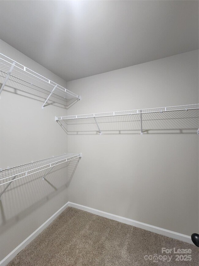 Building Photo - 12526 Susanna Dr