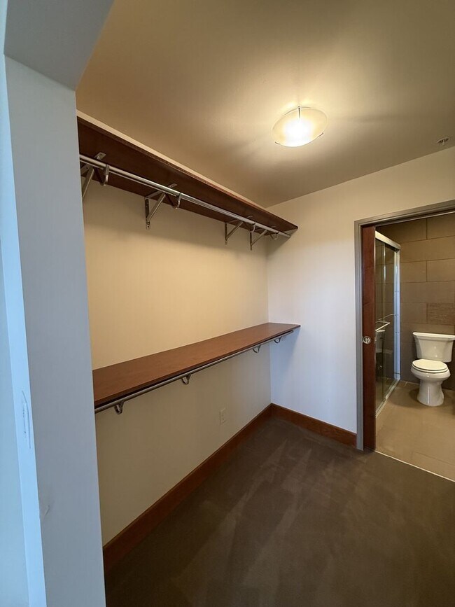 Building Photo - Luxury Apartment