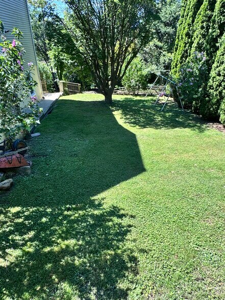 Backyard - 857 Sherman Ave