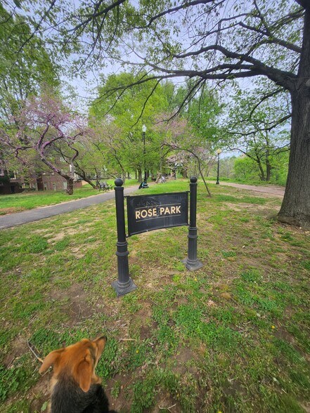 The Neighborhood - Rose Park in Georgetown - 2515 K St NW