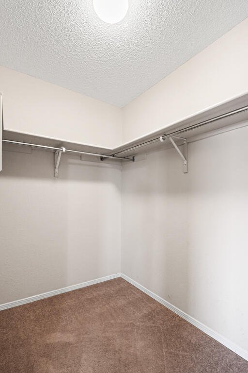 Building Photo - 5432 Santiago Roque Dr