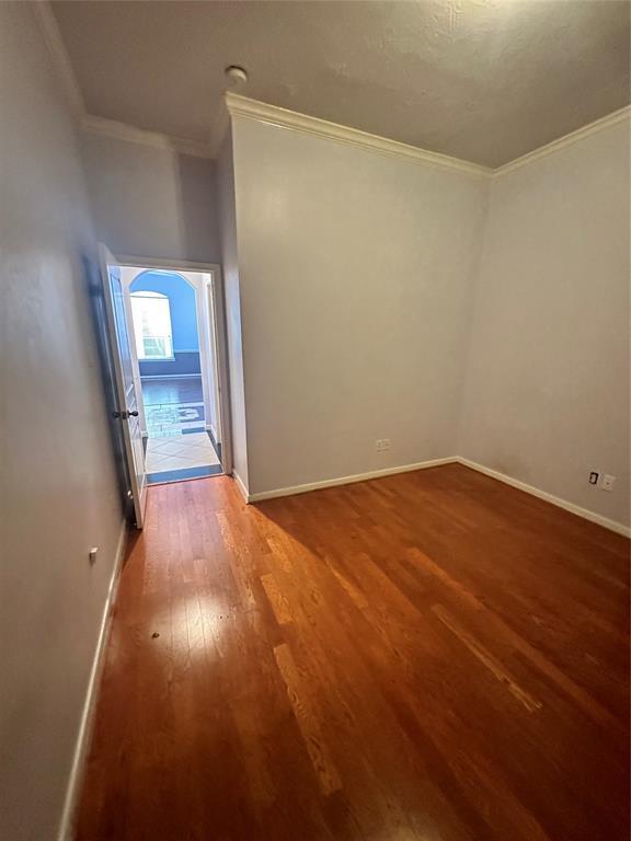 Building Photo - 12109 Flamingo Lakes Ct