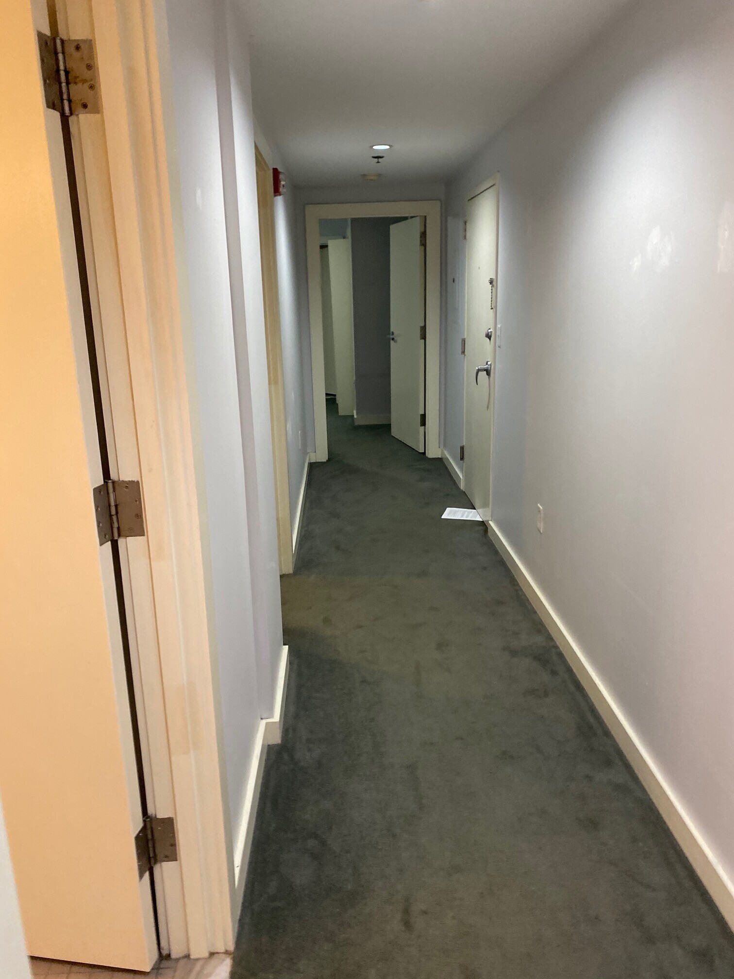 Building Photo - 534 Commonwealth Ave