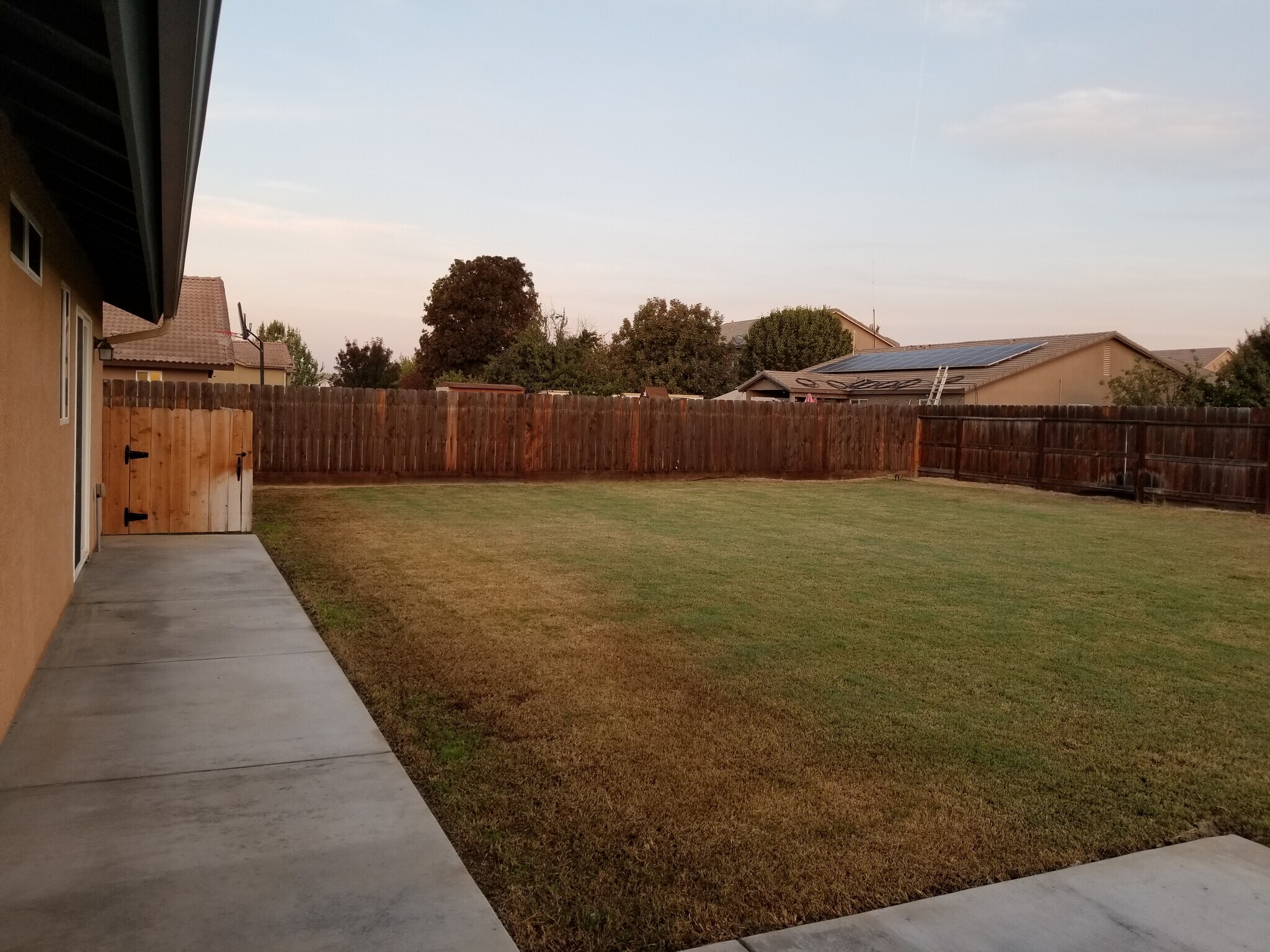 Backyard - 2756 Chardonnay Ln