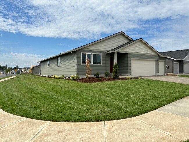 Frontyard/Sideyard - 389 Cornwell St