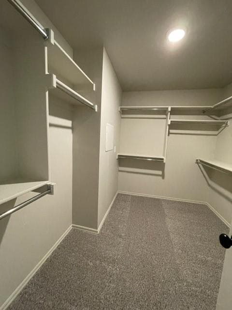 Building Photo - 382 Park Ln