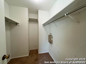 Building Photo - 4906 Corian Springs Dr