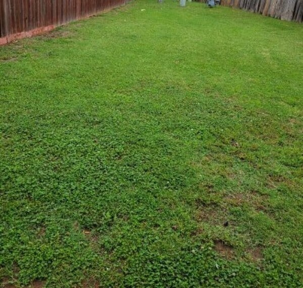 Building Photo - 105 SE Tattershall Way