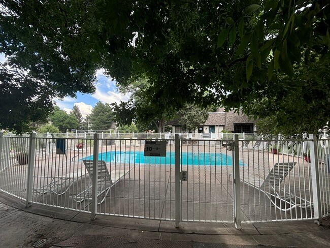 Building Photo - Jasmine Condos Updated 1 bd/1ba