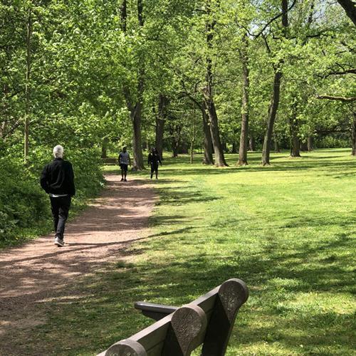 Tookany Creek 2.5 Walking Trail - 508 Central Ave