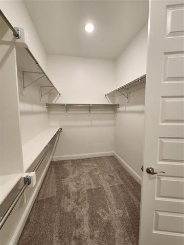 Building Photo - 3218 Willena Rd