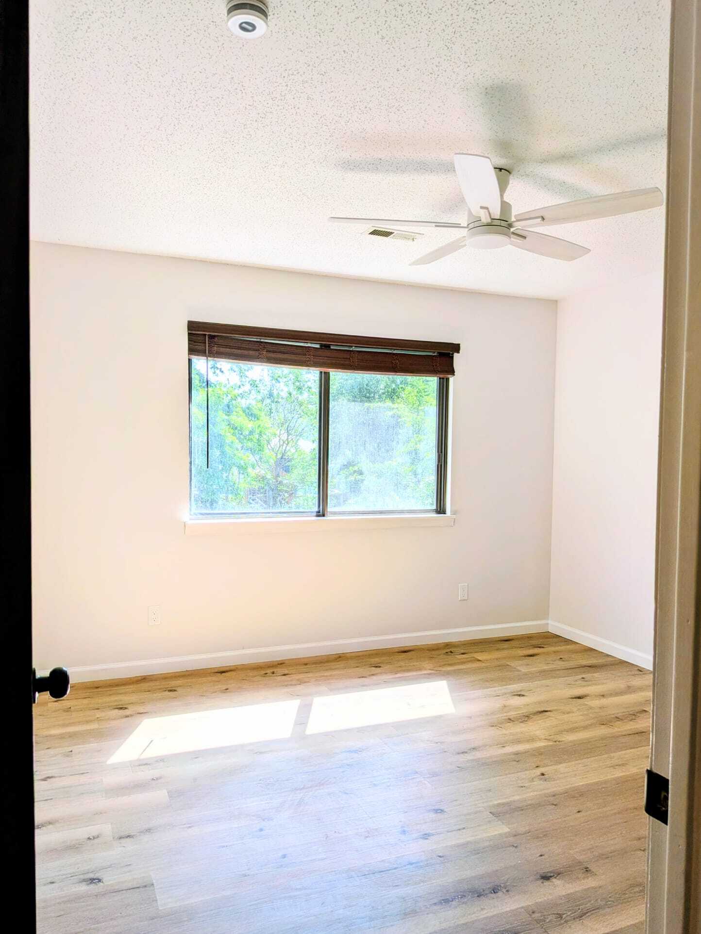 Building Photo - 515 Clearwater Dr