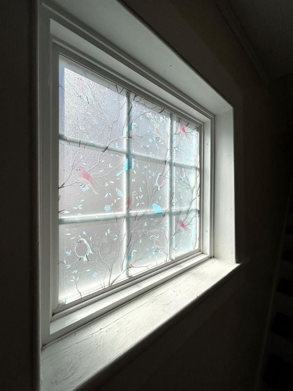 Building Photo - 565 White Mountain Hwy