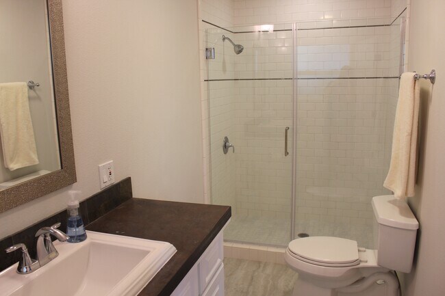 master bath - 1077 Valley View St