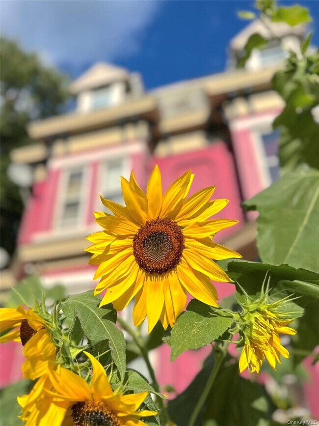 Building Photo - 240 Grand St