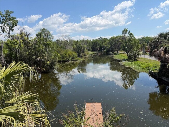 Building Photo - 804 Palm Harbor Ct