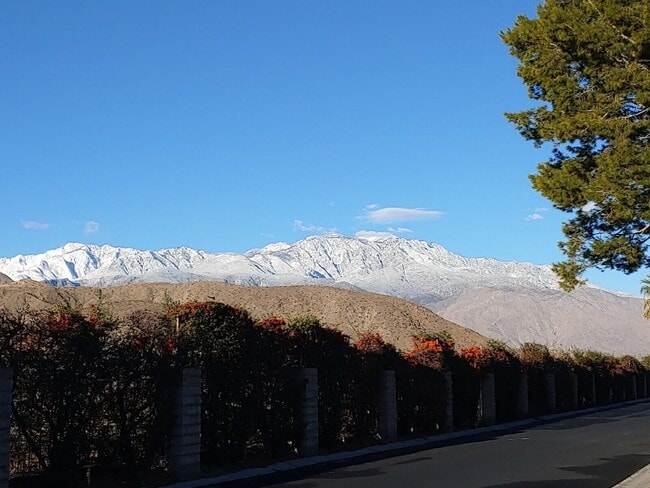 Building Photo - 69940 Los Cocos Ct