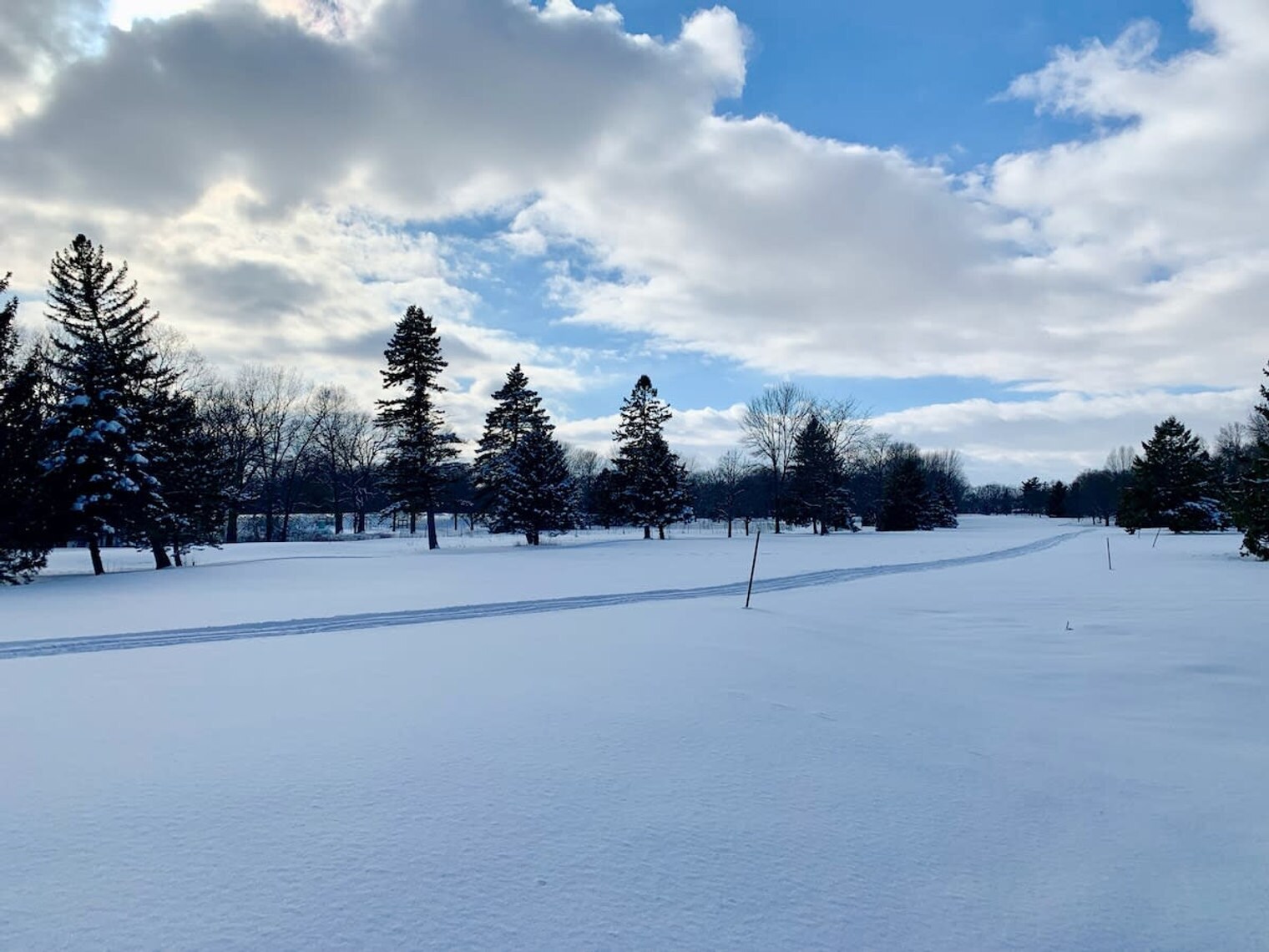 Building Photo - 432 W Seymour St