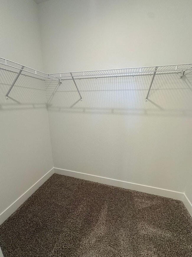 Building Photo - BRAND NEW CONDO