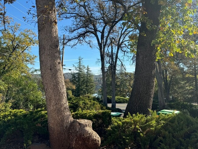 Building Photo - Beautiful Partial Lake View Home on the Go...