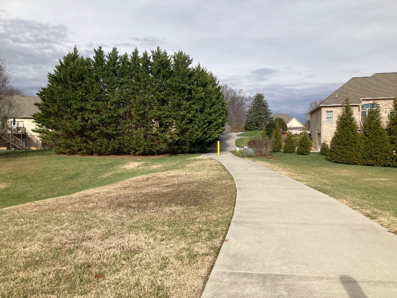 Building Photo - 108 Celtic Ct