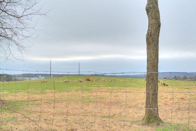 Building Photo - 904 Brightwood Manor Dr