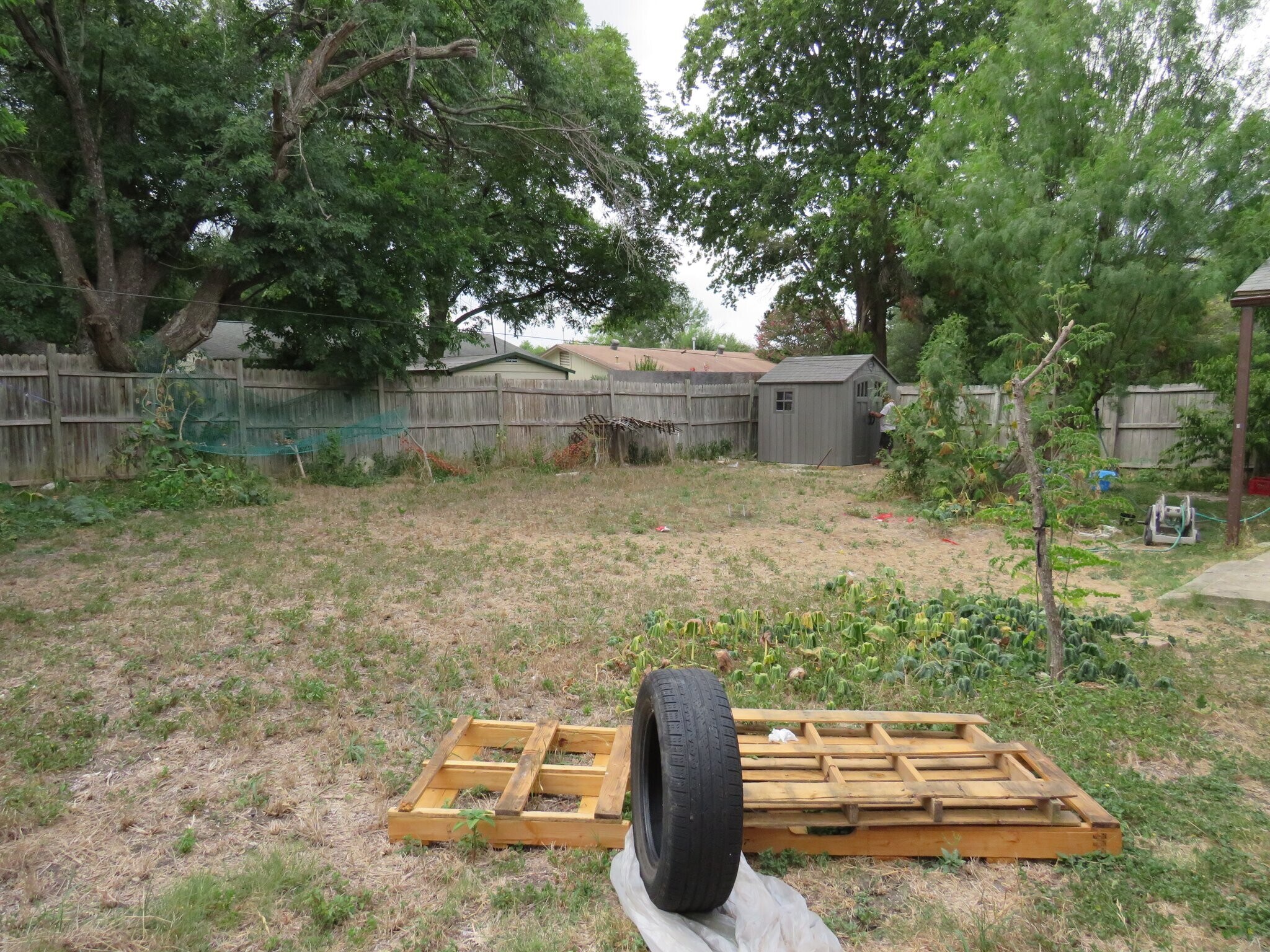 Building Photo - 4815 Sorrento