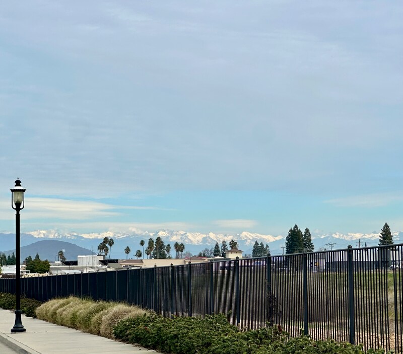 Building Photo - 471 Rosewood Ave