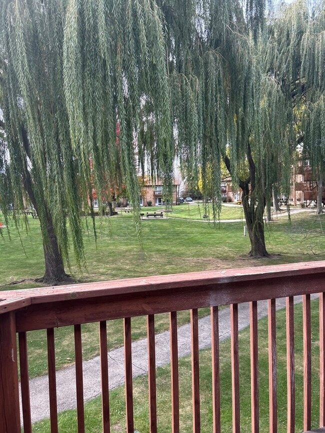 Building Photo - 4436 Arbor Cir