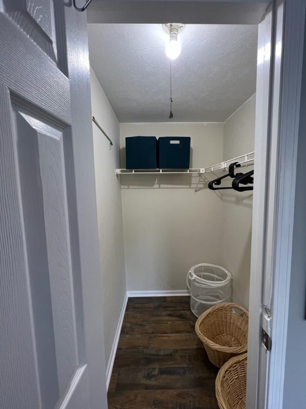 Building Photo - 8402 Muldoon Ct