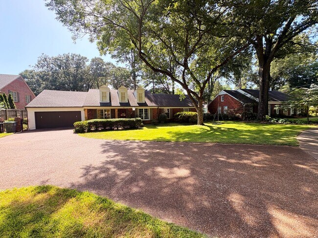 Building Photo - Renovated Home In The Heart Of East Memphis! Fully Fenced Backyard! No Carpet!