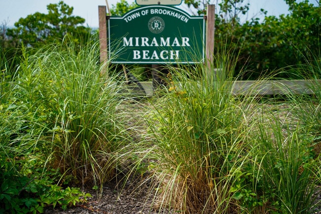 Beach at the end of the street - 27 Bayview Ave