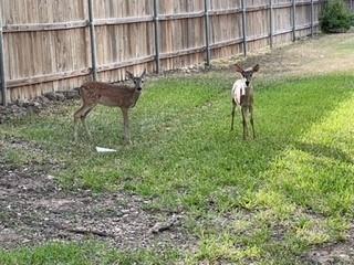 Building Photo - 4159 Steck Ave