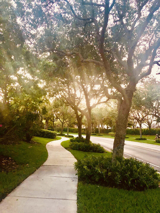 Building Photo - 11949 Rosetree Terrace