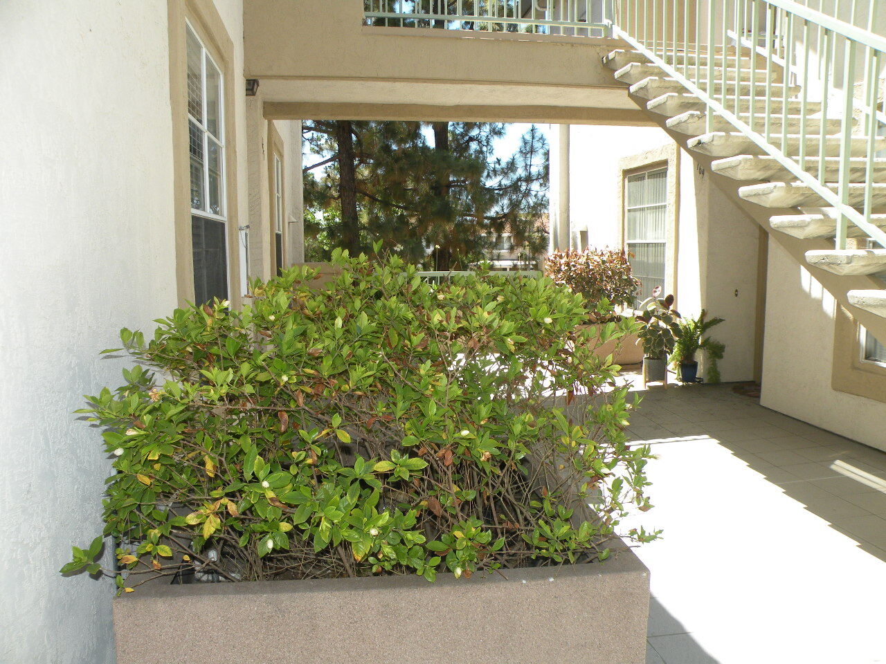 Building Photo - 8680 New Salem St