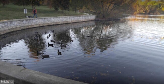 Building Photo - 1929 Gough St