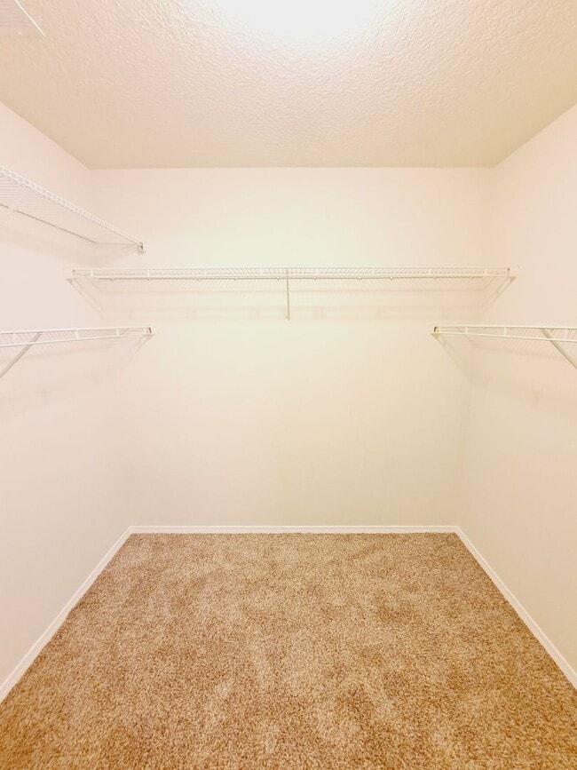 Building Photo - 3 bed 2 bath 1575 sq ft home